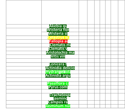 Hollandse naam          Latijnse naam                   Akebia    Akebia quinata     - 20    5    3    x    x    3    - /x    Blauwe regen    Wisteria floribunda     - 15    8    3    x    -     4    x    Wisteria sinensis     - 15    20    4    x    x    4    x    Boomwurger    Celastrus scandens     - 20    10   3    x    x    3    x    Bruidssluier    Fallopia aubertii     - 15    10    5    x    x    5    x    Clematis, vroeg    Clematis montana   - 20    7    2    x    -     2    -     Clematis, laat    Clematis vitalba     - 20    10    2    x    x    2    -     Duitse pijp    Aristolochia macrophylla   - 20    10    5    x    x    3    x    Druif    Vitis vinifera     - 20    30    4    x    x    4    x    Ipomoea    Ipomoea tricolor     0    3    -     x    x    1    nvt    Kamperfoelie    Lonicera henryi     - 20    5    3    x    x    2    x/ -     Kiwi    Actinidia deliciosa 'Jenny'   - 15    10    4    x    x    4    x    Klimhortensia    Hydrangea  petiolares     - 20    6    2    x    x    2    -     Mini - kiwi    Actinidia arguta ‘Issai’     - 30    5    1    x    x    1    x    Oost - Indische kers    Tropaeolum majus     0    4    -     x    x    1    nvt    Passiebloem    Passiflora caerulea     - 10    5    2    x    -     1    x    Peer    Pyrus communis     - 30    10    1    x    -     3    x    Suzanne  met de mooie ogen   Thunbergia  alata     0    2    -     x    -     1    nvt    Toscaanse jasmijn    Trachelospermum  jasminoides   - 10    2    2    x    -     2    -     Trompetklimmer    Campsis radicans     - 15    10    2    x    x    2    x    Winterjasmijn    Jasminum nudiflorum     - 20    5    1    x    -     1    x